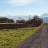 Föhnstimmung über dem Seetal