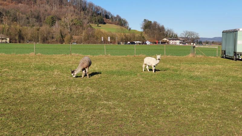 Villigerfeld-B&uuml;rensteig-Aaretal