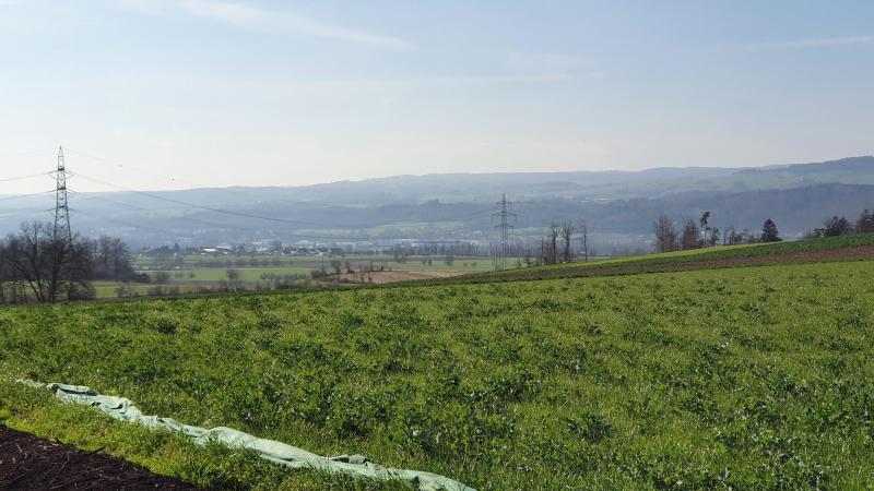 Aaretal-Rheintal-Mettauertal-Villigerfeld