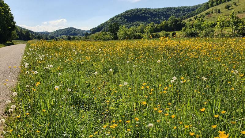 Aaretal-Villigerfeld