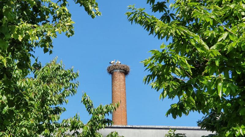 Reusstal-B&uuml;nztal-Aaretal