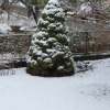 erster Schnee erster Schnee