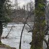 An der Aare