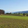 Blick zu den Alpen