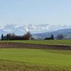 Blick zu den Alpen