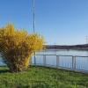 Frühling am Klingnauer Stausee