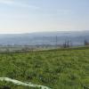 Blick über das Rheintal, hinüber zum Schwarzwald