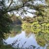 Der Aare entlang