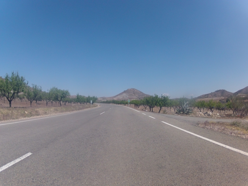 Zwischen Mandelbäumen