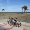 Sonne, Palmen und Rennrad