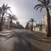 Carboneras Palmenallee