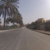 Palmen an der Strasse