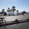 Palmen und Meer