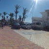 Palmen am Strand