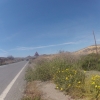 Frühling in den Dünen