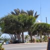 Am Strand von Mojacar