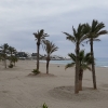Palmenstrand vor Mojacar Playa