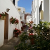 Lucainena mit Blumenschmuck