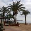 Palmen am Strand von San Juan