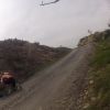 Panna in der Sierra Cabrera
