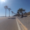 Palmen an der Küstenstrasse