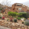 Cortijo - die Blumen