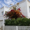 Blumen in Agua Amarga