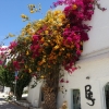 Agua Amarga