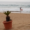 Am Strand von San Juan