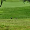 Auf dem Golfplatz des Hotels