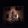 Weihnachtsbaum in Ehrendingen