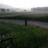 Bodennebel im Furttal