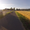 Getreidefeld in der Morgensonne