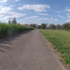 Frischer Sommer