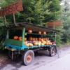 Der Kürbiswagen