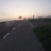 Morgenrot und Nebelbank