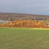 Herbst im Surbtal