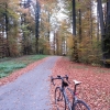 Herbstfarben