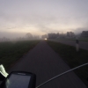 Am Rande des Nebels