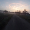 Morgennebel