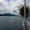 Ausfahrt aus dem Seebecke von Küsnacht