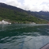 am Fusse der Rigi