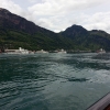 am Fusse der Rigi vor Weggis und Vitznau