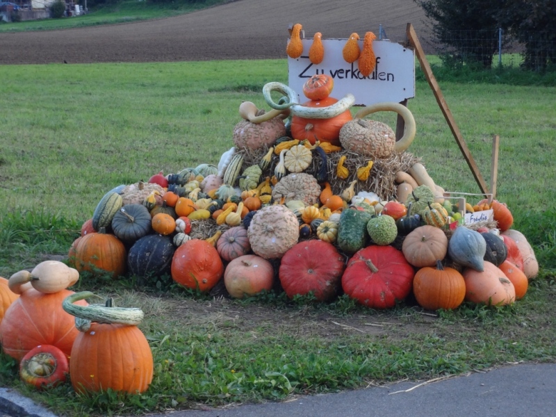 Kürbisauslage