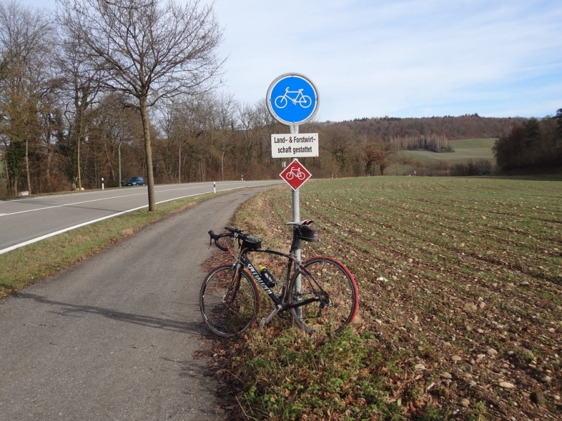 Unterwegs am Rhein