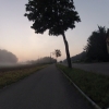 Nebel im Furttal