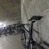 es beginnt im Velokeller