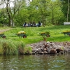 Grachtenrundfahrt in Leiden
