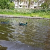 Grachtenrundfahrt in Leiden