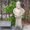 Clusius, der Entdecker der Tulpe